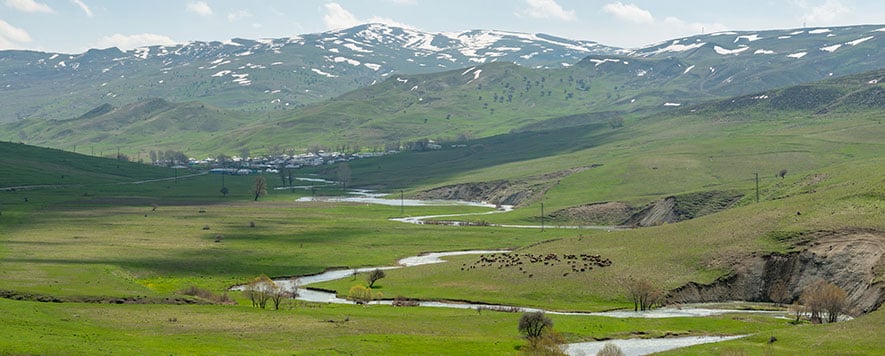Genel-Manzara-Mus